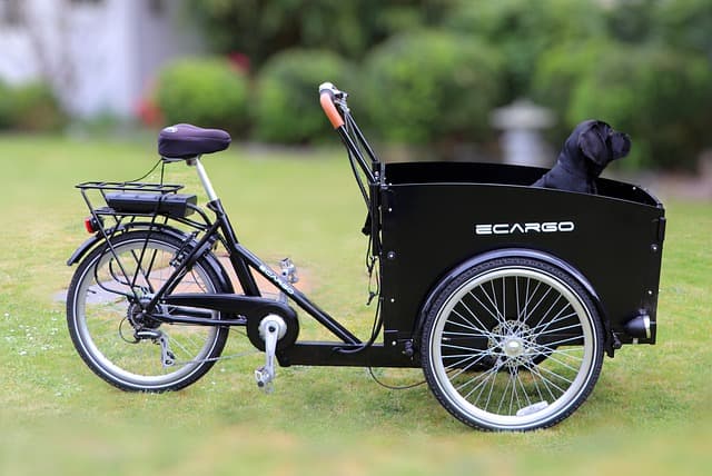 vélo cargo à assistance électrique