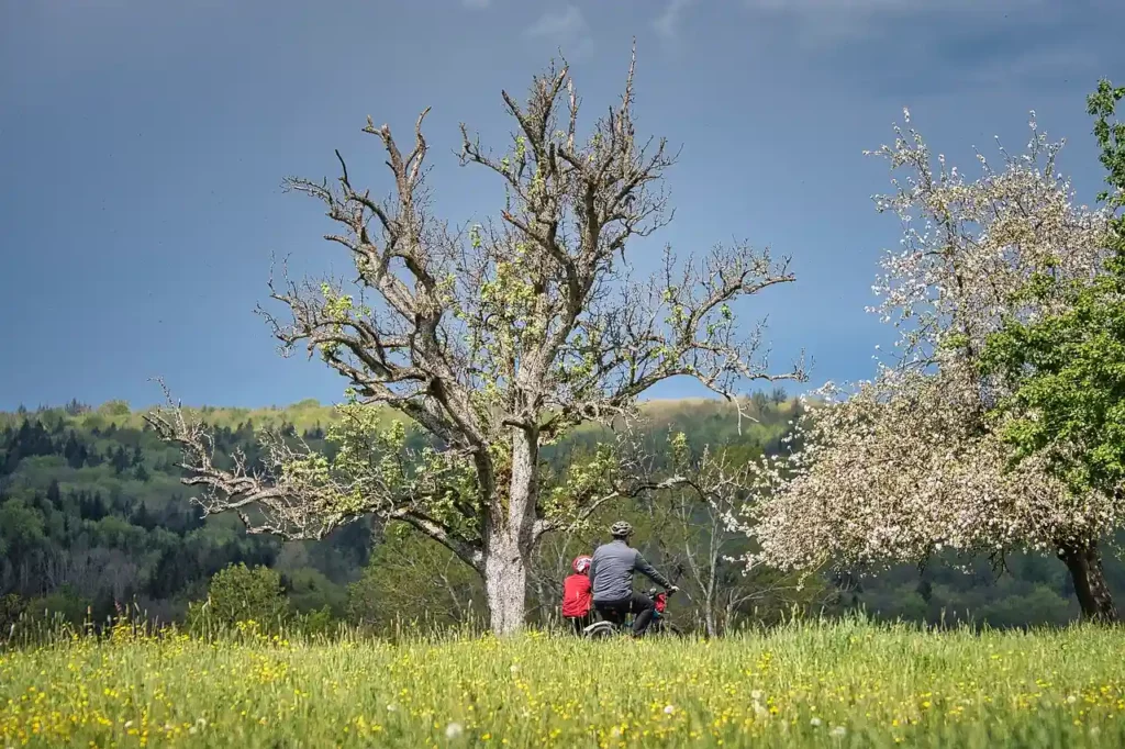 Fête du vélo