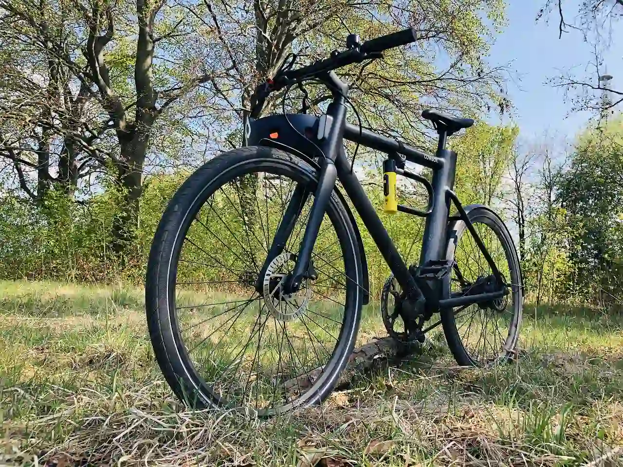 elektrische fiets